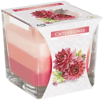 Rainbow Jar Candle - Cactus flower - Hira Online